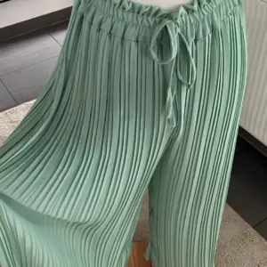 Plissees Hose Mint